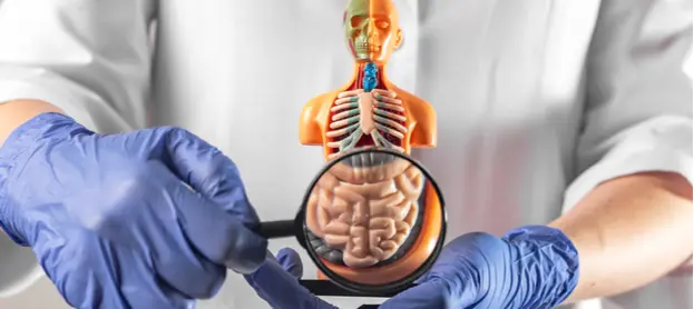 عيادة الجهاز الهضمي والمناظير